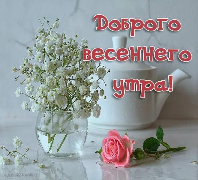 Доброе ВЕСЕННЕЕ Утро 💐 самые красивые