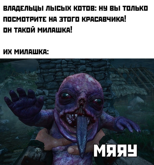 Мем: 