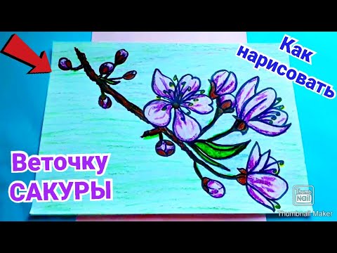 Рисунки для срисовки веточки