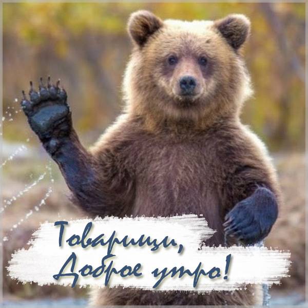 С добрым утром товарищи!