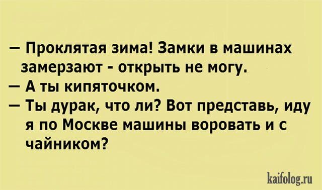 Смешные картинки Попугаи волнистые с надписями