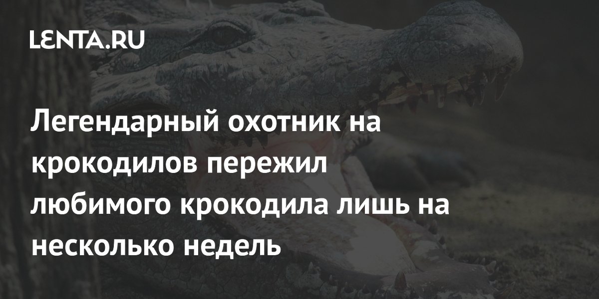 Мем Жабо крокодил жабок рокодил жабо кродил жабокро кодил №58296