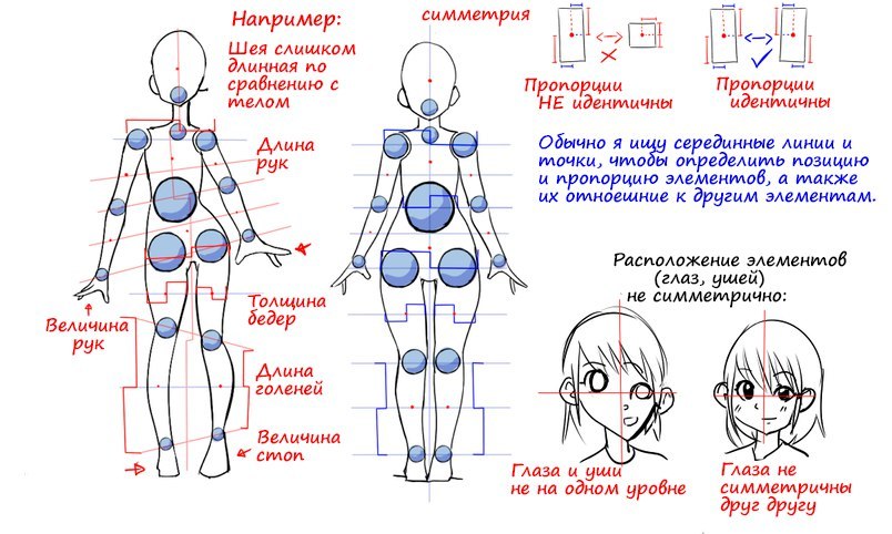 Как рисовать женскую фигуру