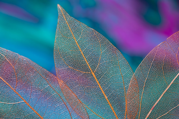 Download these new M2 iPad Air wallpapers in all matching colors