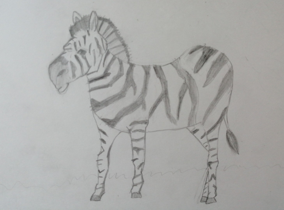 Bolalar uchun zebra rasmini chizish | Drawing zebra for