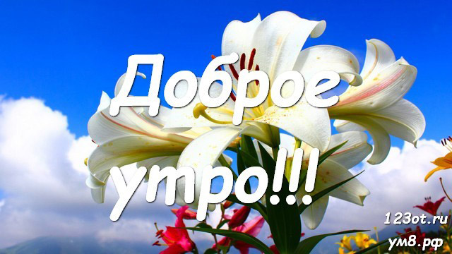 Доброе утро Женя