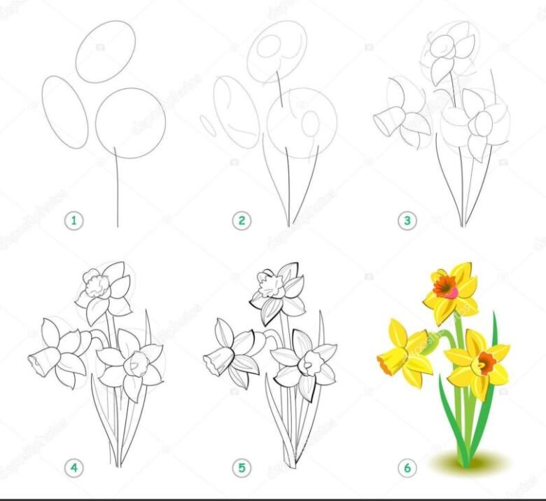Раскраски нарцисс, Раскраска Нарциссы Цветок.