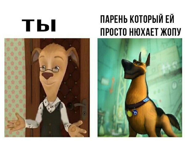 барбоскины #мемыбарбоскины #мемы #rge #fyp #eldruso | meme