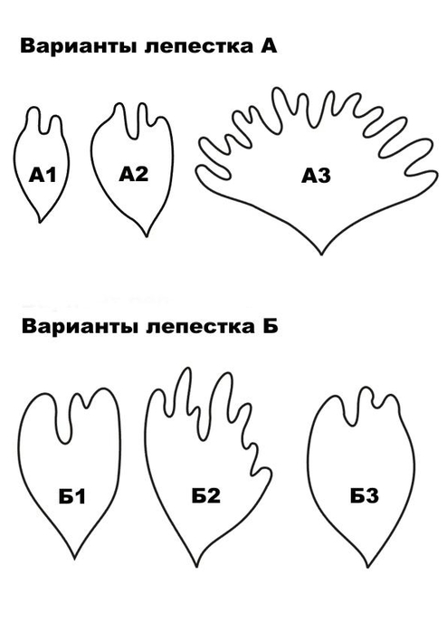 Шаблоны и трафареты лепестков