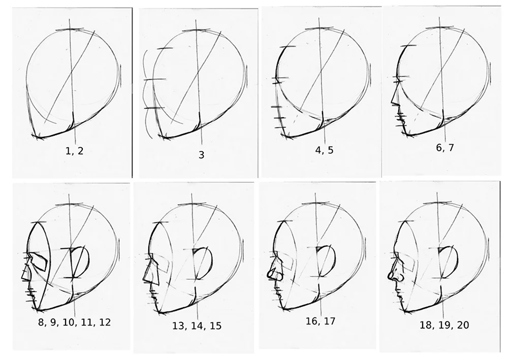 Академический рисунок головы человека