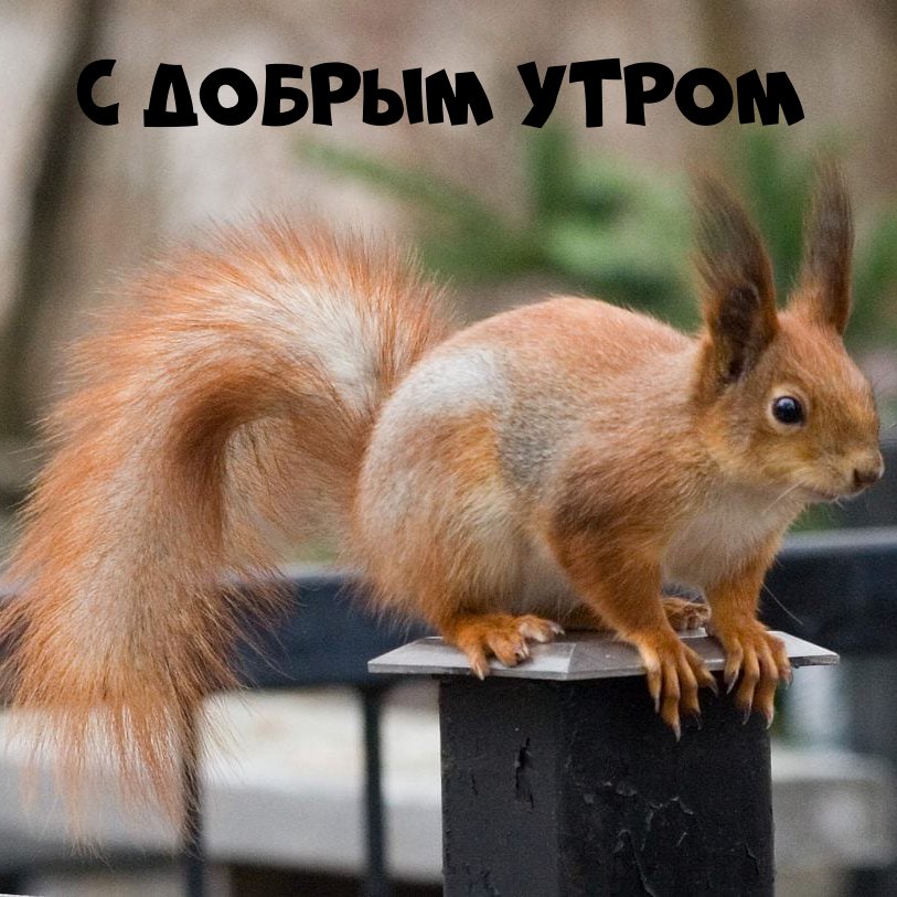 Среда,.. Доброе утро!