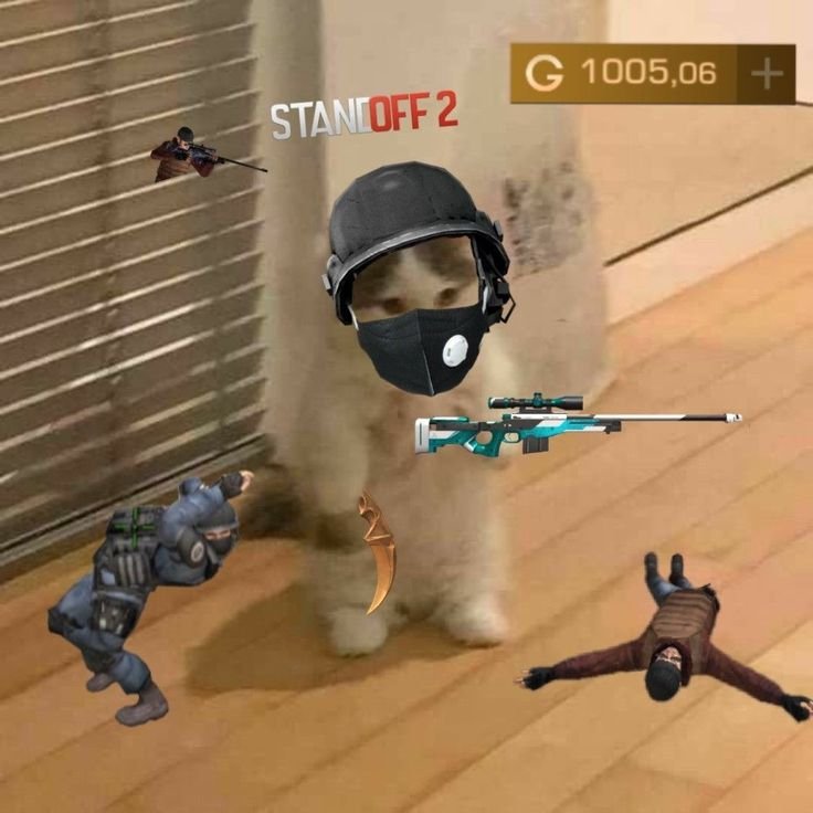 Csgo pfp cat