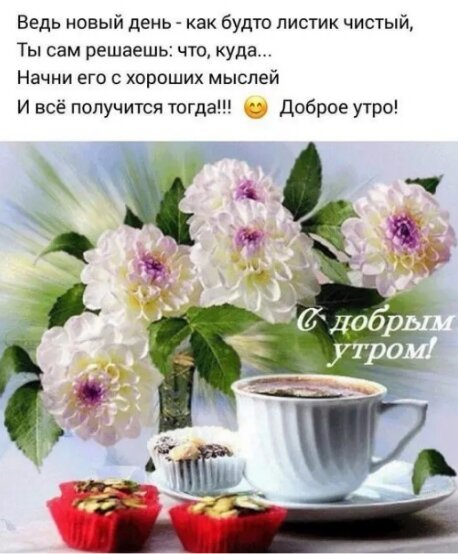 🍃🌞 ДОБРОЕ УТРО, ДРУЗЬЯ! 🌞🍃 Тебе скажу я