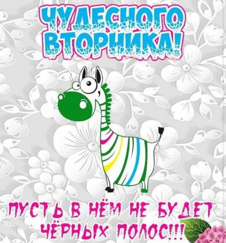 Самые прикольные открытки Доброе утро вторника