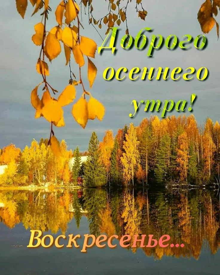 Картинки: “Доброе воскресное утро!”