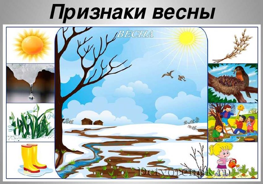 Рисунки признаков весны