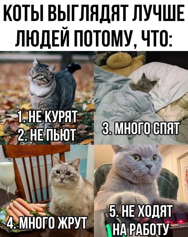 Лучшие мемы из фильмов