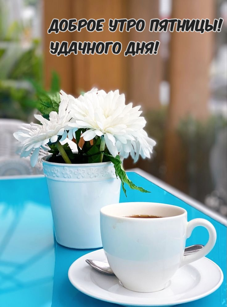 Доброе Утро! Здравствуй, ВЕСНА🌷Классная