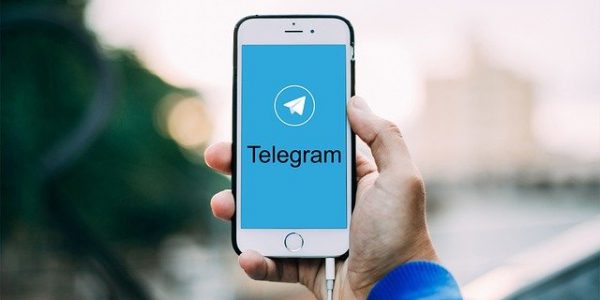 Набор стикеров для Telegram «Крутые Бобры»