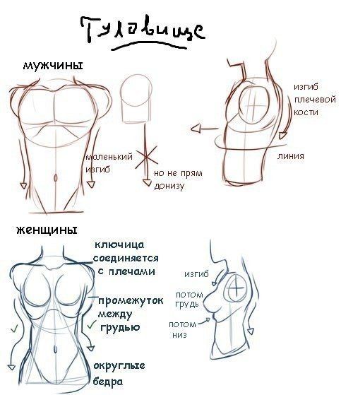 Портрет карандашом в интернет