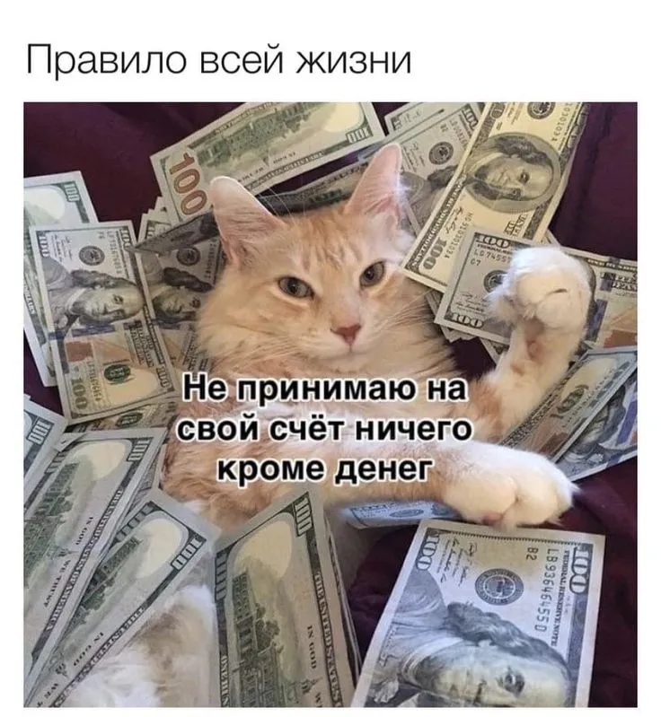 Заставки Смешные на аву