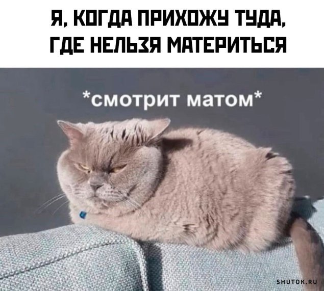 Мемы Без Матов Про Школу | TikTok