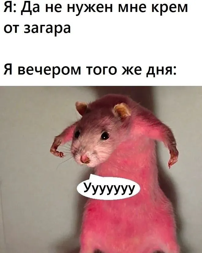 Крутые животные