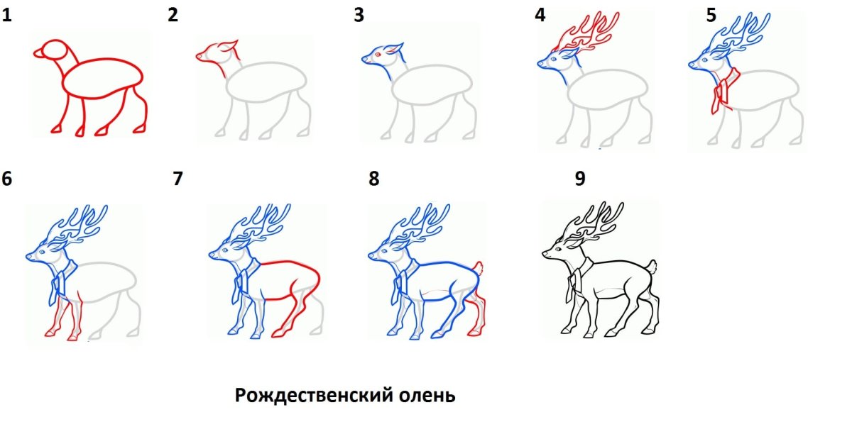 How to draw a DEER Drawings for children