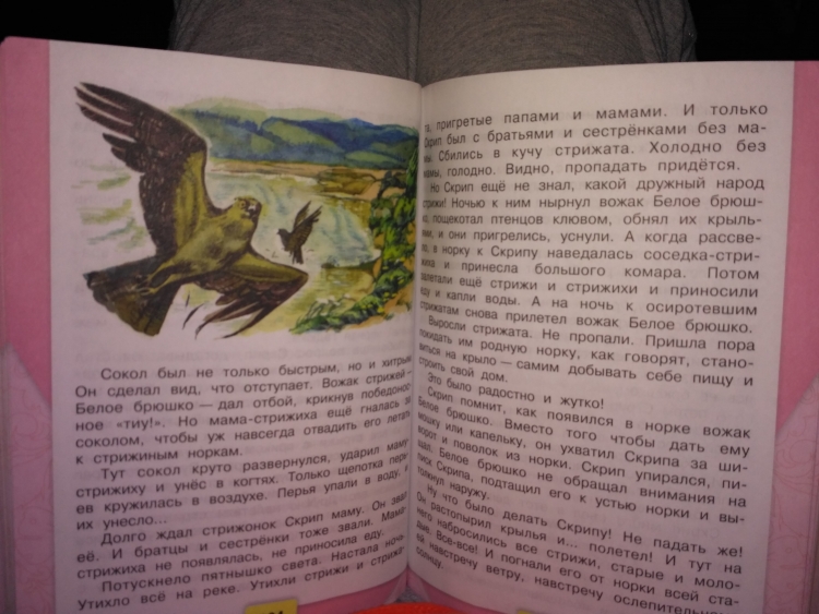 Викторина с ответами по рассказу Горького 