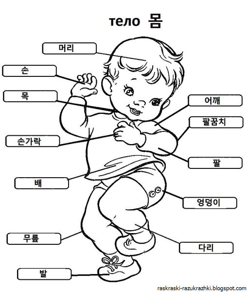 Раскраски по теме части тела 