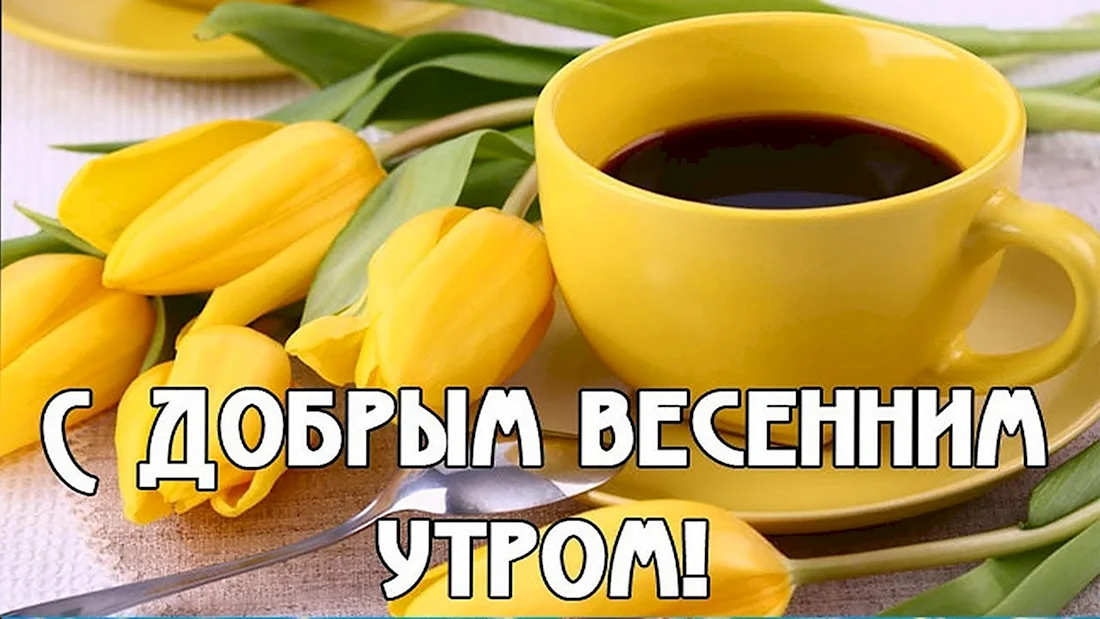 🌸✨☕ Красивые картинки 