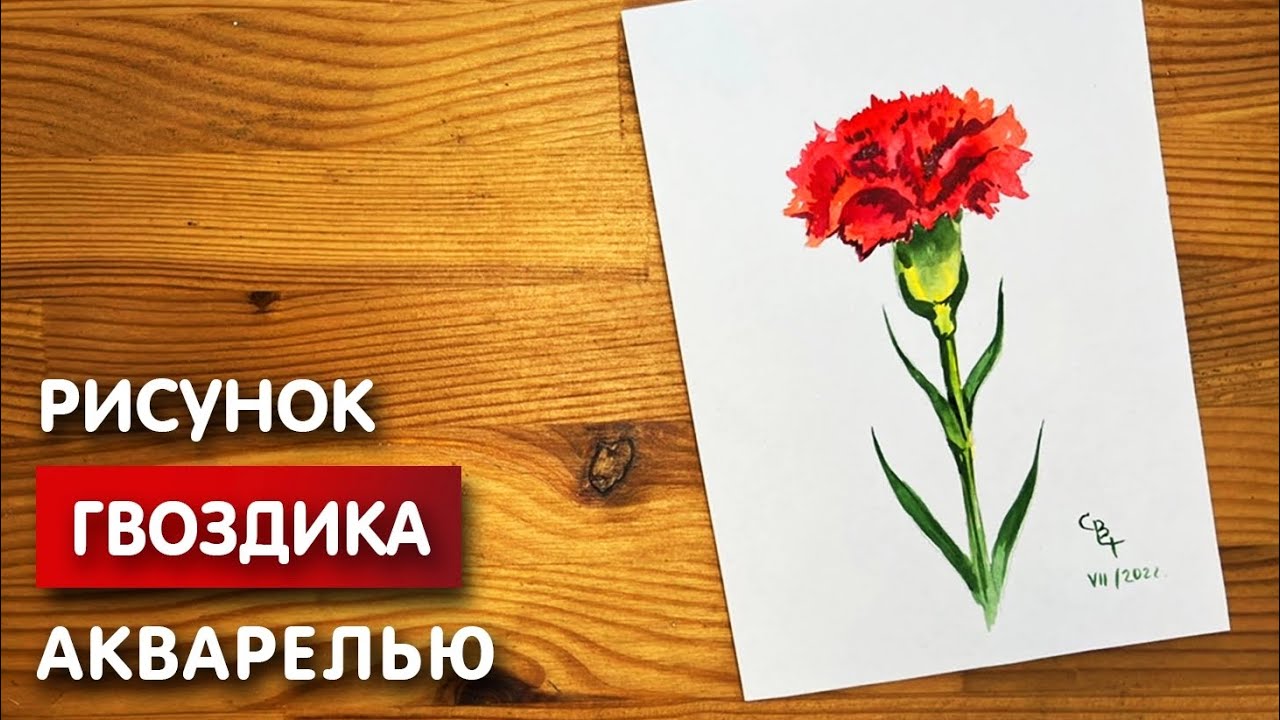 Как нарисовать гвоздику карандашом поэтапно? | Flower