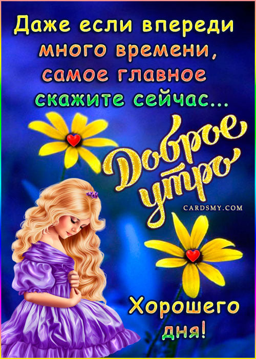 Фотоальбом Доброе утро! Добрый день! Добрый вечер! Хорошего