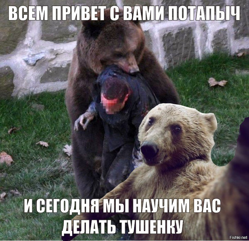 Медведь и медведь Cub черно