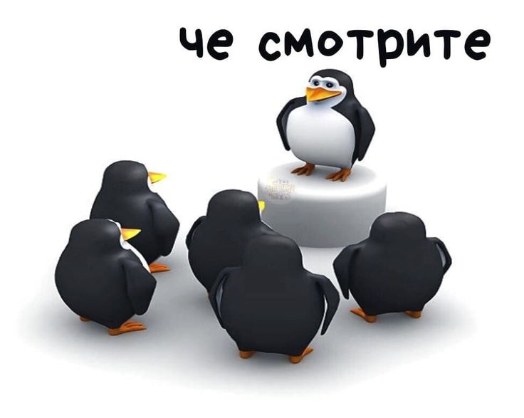 Что за мем с грустным пингвином Noot Noot из 