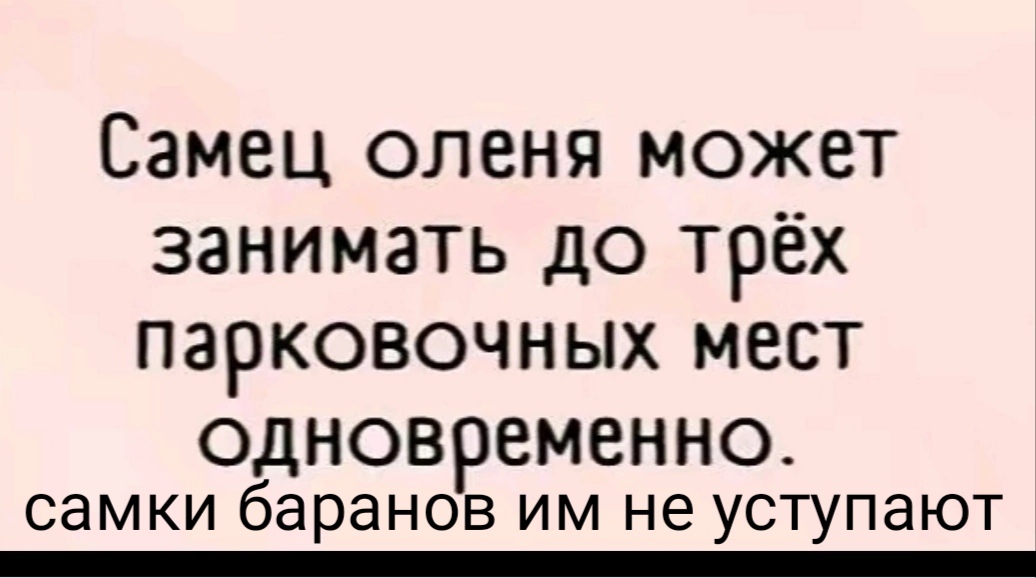 Вышел очередной сборник “Омских епархиальных Кирилло