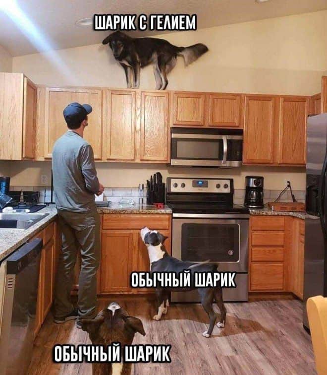 Приколы! 