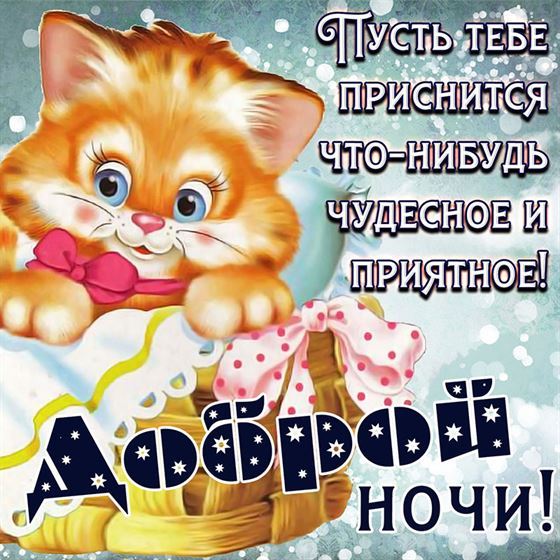 Книга МОЗАИКА kids Котенок Спокойной ночи купить по цене 999