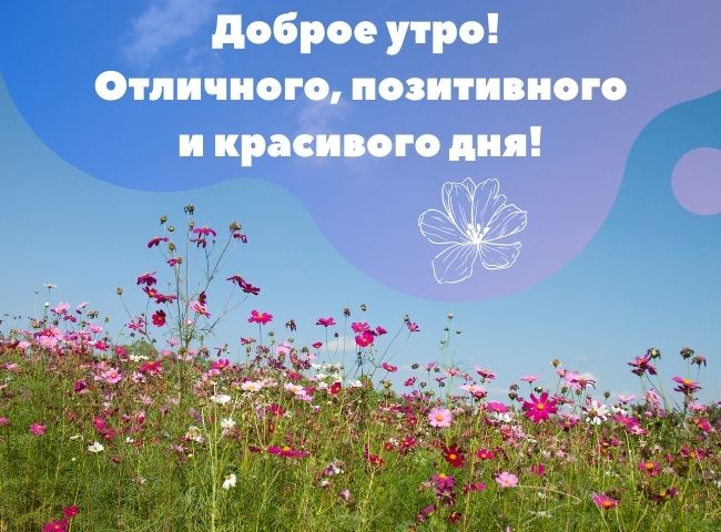 Моя коллекция картинок на портале Happypik.ru. Ваши