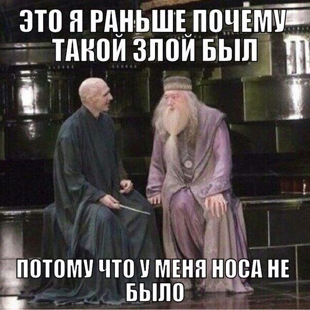 Мемы гп | Harre Potter and cat | Дзен