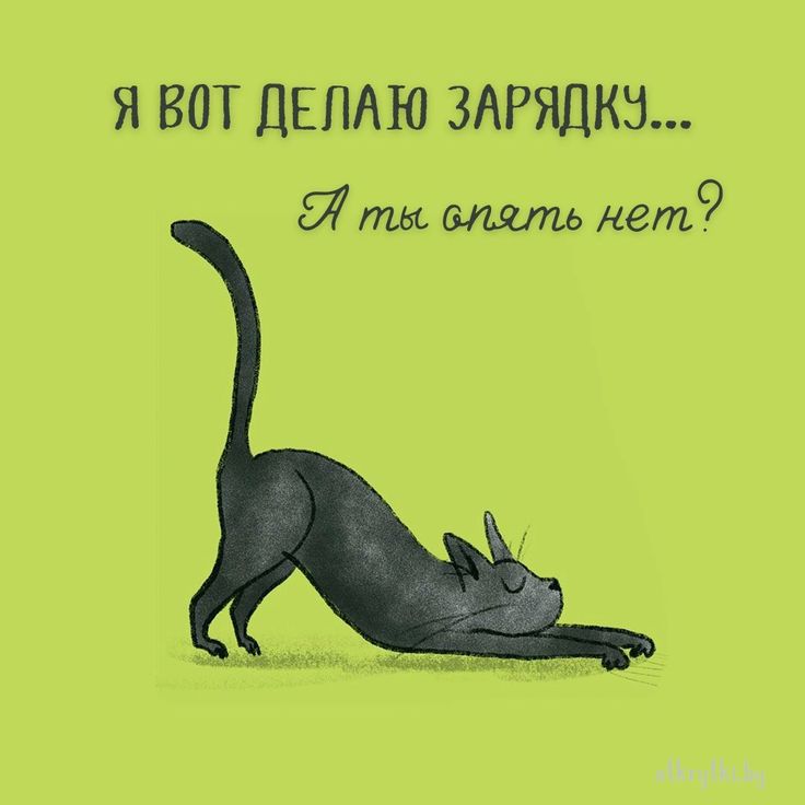 ну что как там физкультура?, Мем Военком 