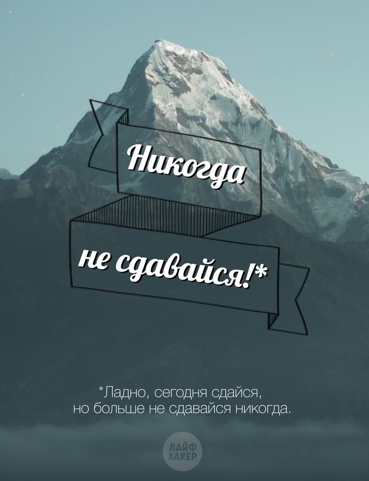 Холст «Никогда не сдавайся, позорься до конца