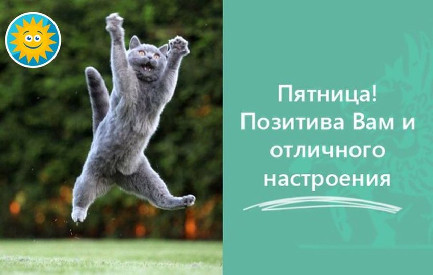 Доброе Утро Хорошего Дня! Хочу Удачи