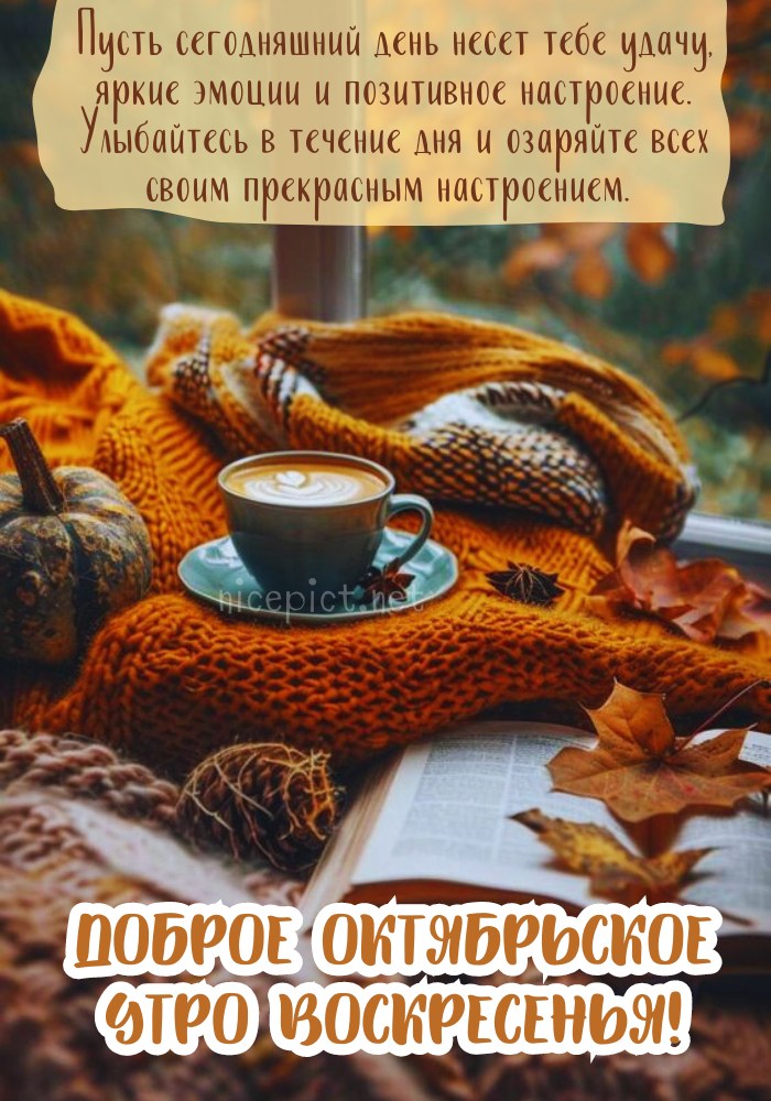 🍂Доброе утро! Сегодня 24 октября, воскресенье 📆 День ООН