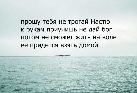 Стихи про Настю. Красивые, о любви, про лучшую подругу Настю