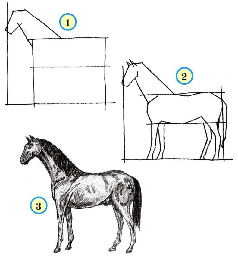 Как нарисовать лошадь | Рисование для детей | рисунки для