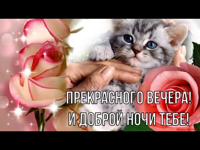 Хочу пожелать тебе приятного вечера