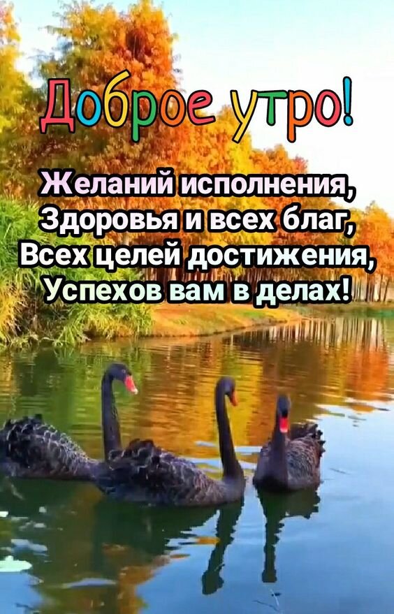 Красивые открытки 