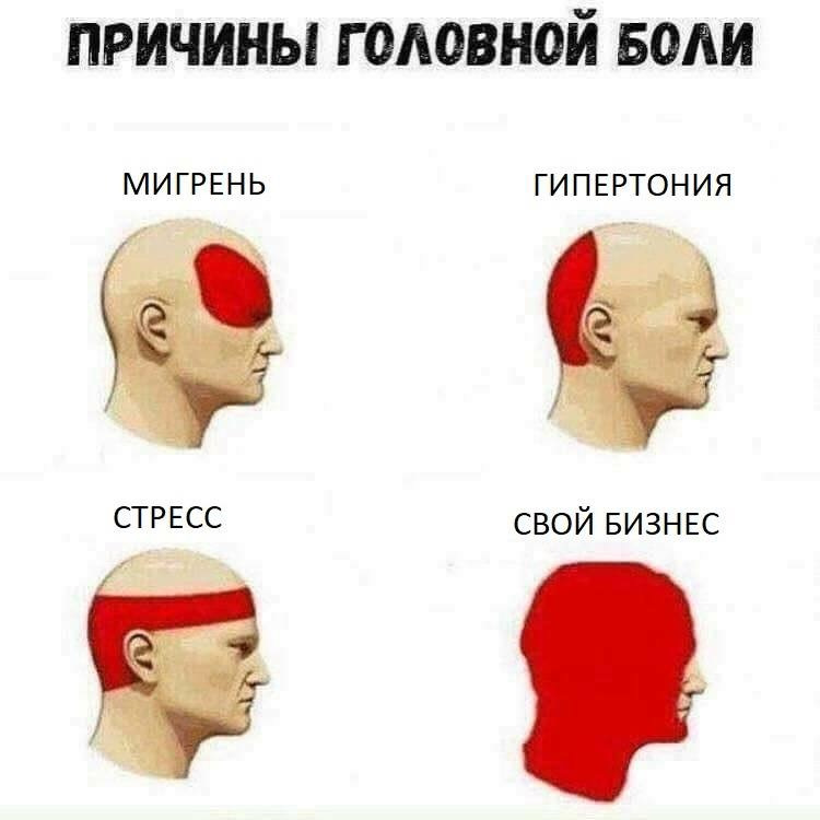 Мемы и Шоу