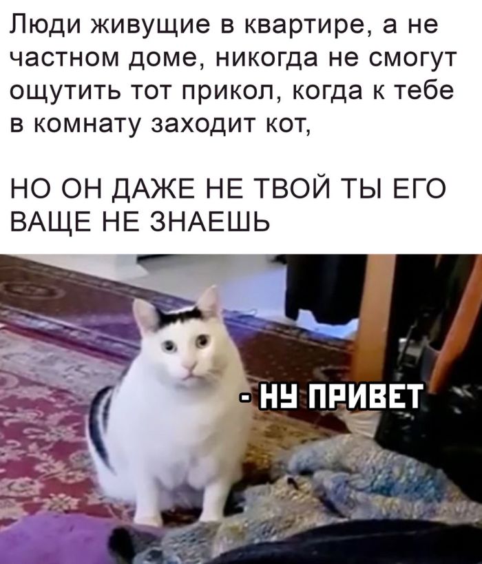 Анимации